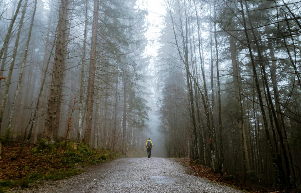 wandelen in de winter